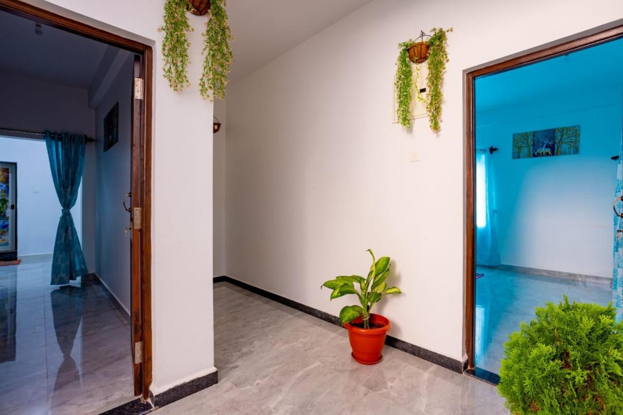Goan Fiesta Studio Calangute Goaヴィラ エクステリア 写真